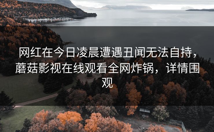网红在今日凌晨遭遇丑闻无法自持，蘑菇影视在线观看全网炸锅，详情围观