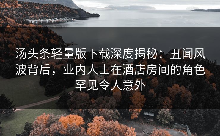 汤头条轻量版下载深度揭秘：丑闻风波背后，业内人士在酒店房间的角色罕见令人意外